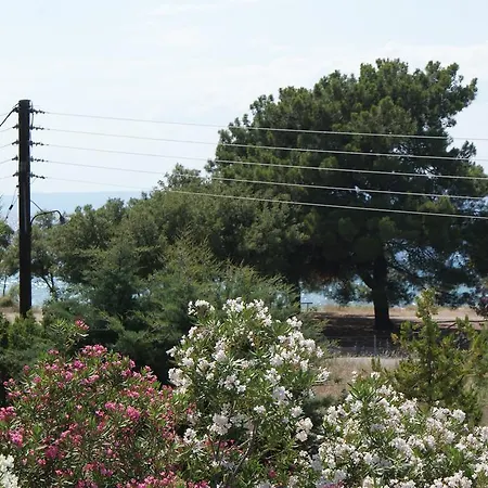 Proteas Ξενοδοχείο